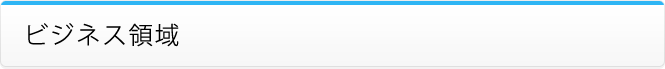ビジネス領域