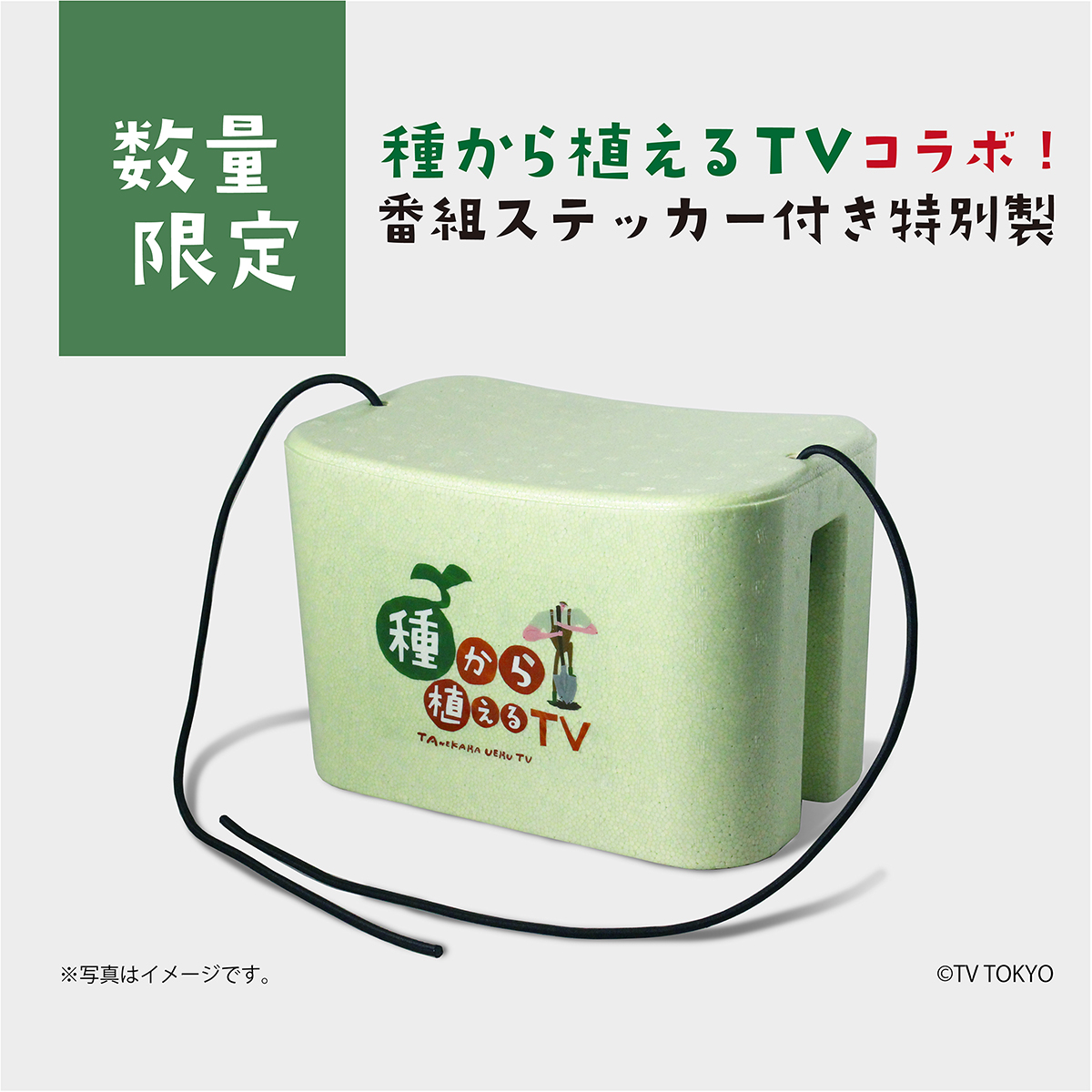 ［数量限定］軽イスかる助GN